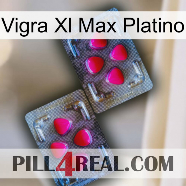 Vigra Xl Max Platinum 15.jpg